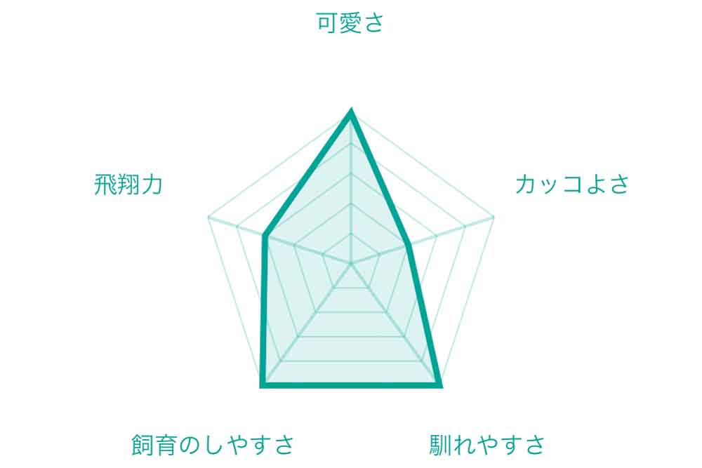 ナンベイヒナフクロウの特徴